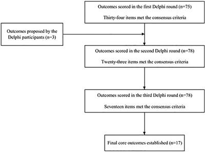 Consensus core outcome rating for the Japanese neonatal pain guidelines